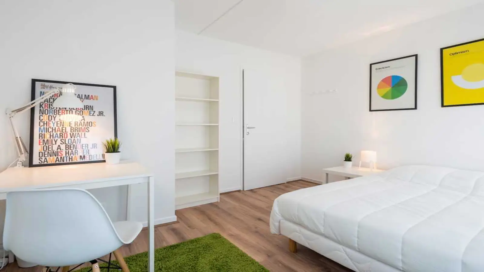 Flat Rue Baraban in Lyon