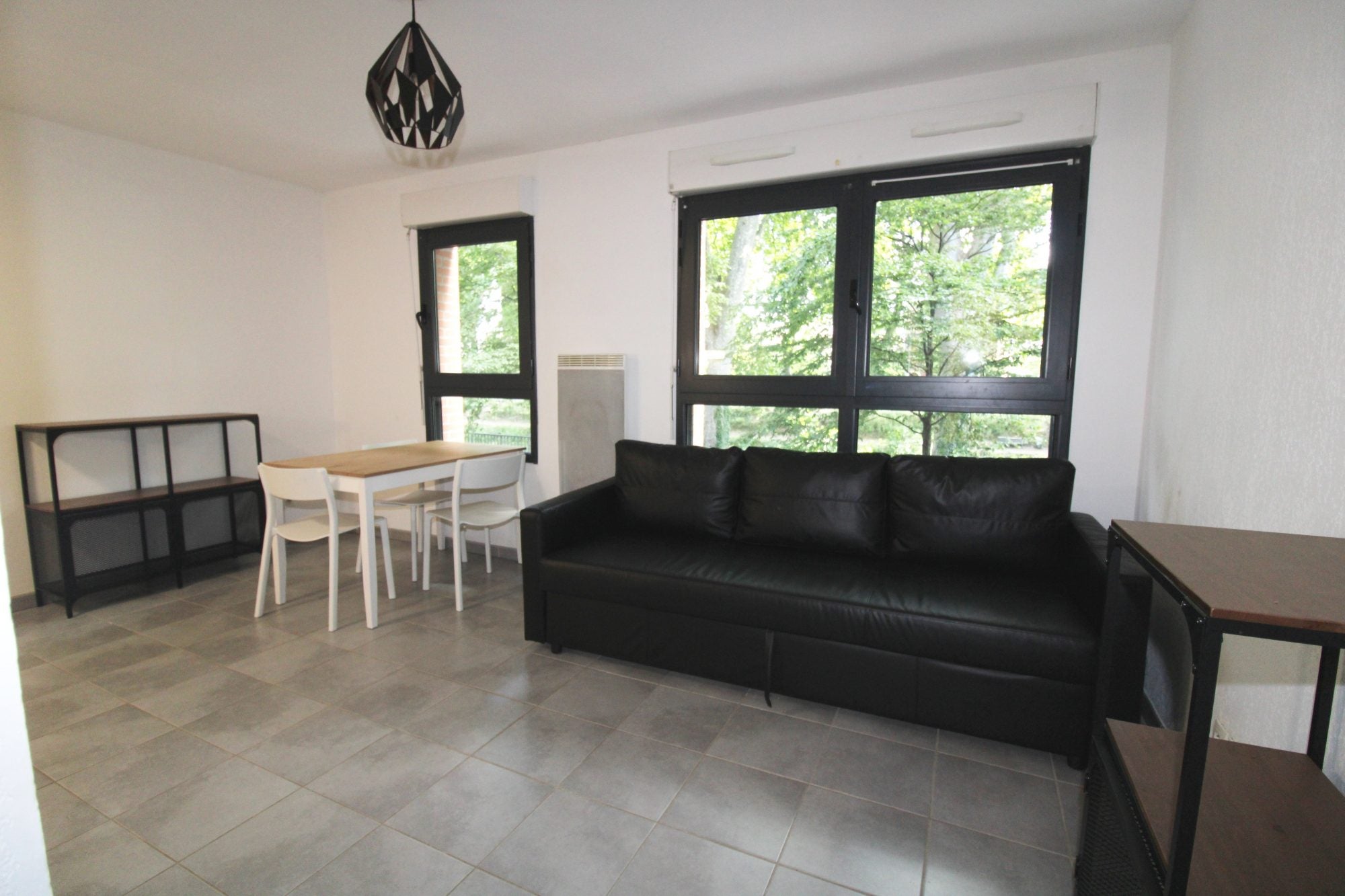 Appartement Allée de Brienne à Toulouse