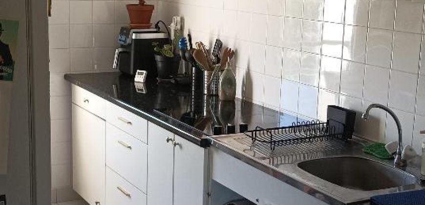 Appartement Rue du Professeur Paul Sisley à Lyon