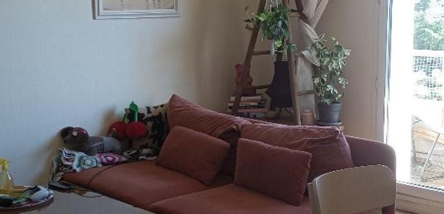 Appartement Rue du Professeur Paul Sisley à Lyon