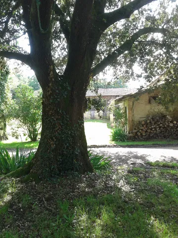 Room Route de Castillon-Debats in Castillon-Debats