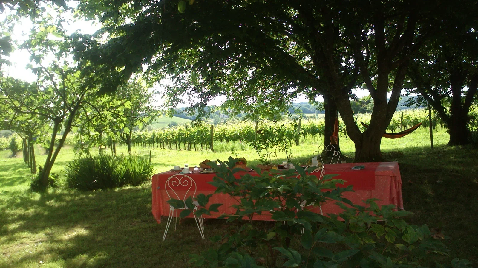 Room Route de Castillon-Debats in Castillon-Debats