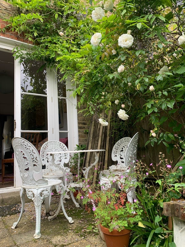 Room Avenue Gardens in Greater London