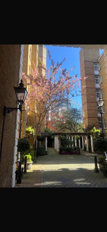 Room Regency Street in City of Westminster