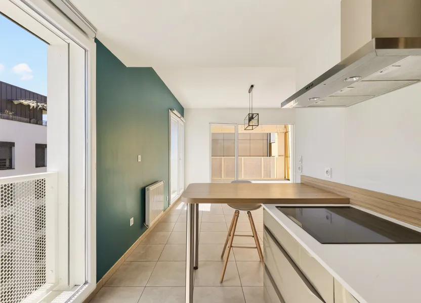 Appartement Rue Félix Mangini à Lyon