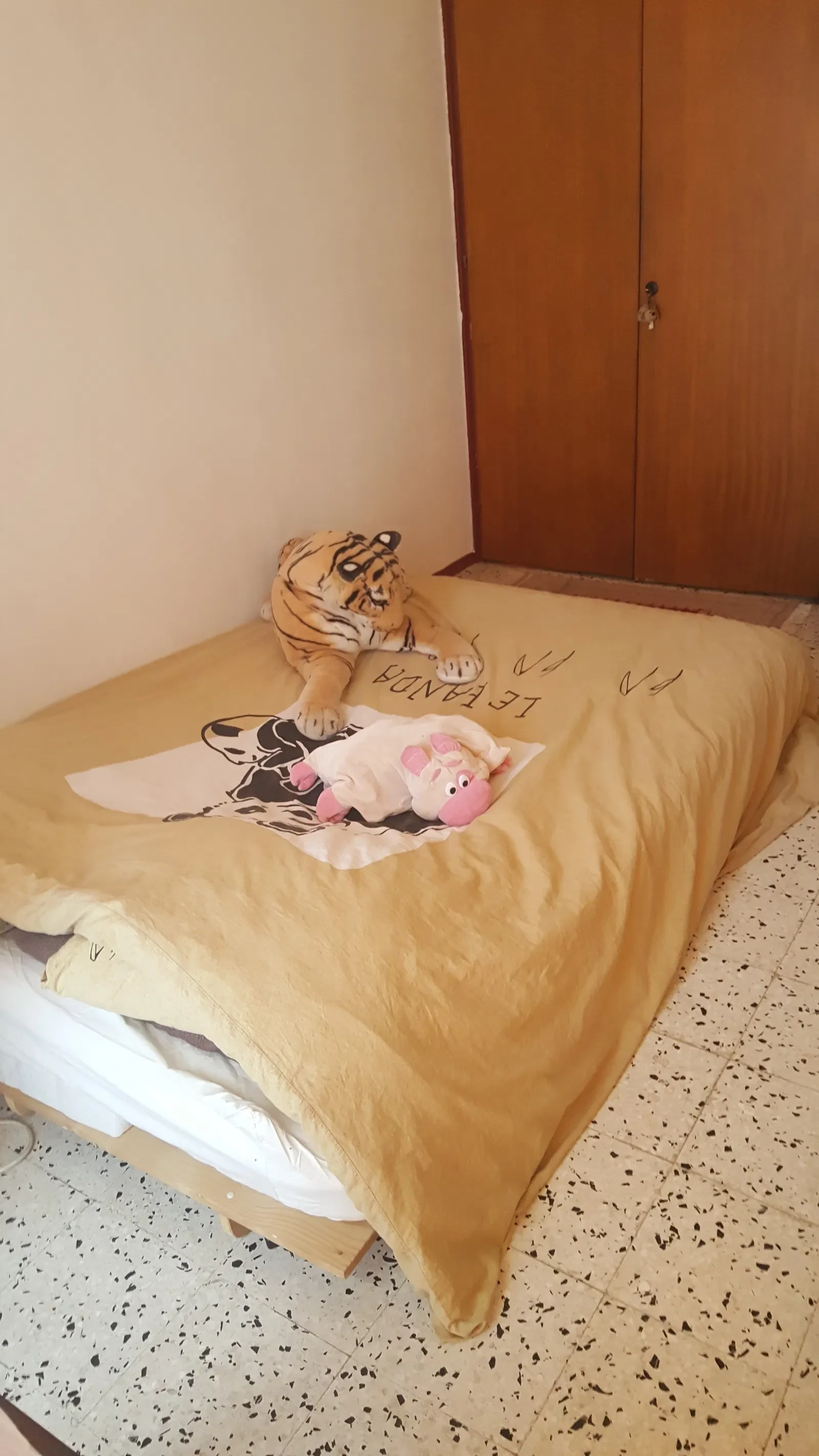 Room Avenue Saint-Clément in Montpellier