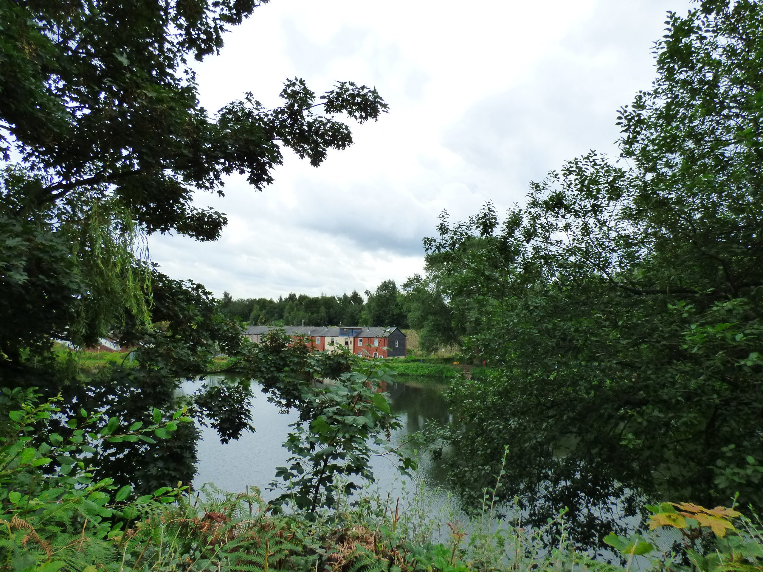 Flat Daisyfield Greenway in Bury