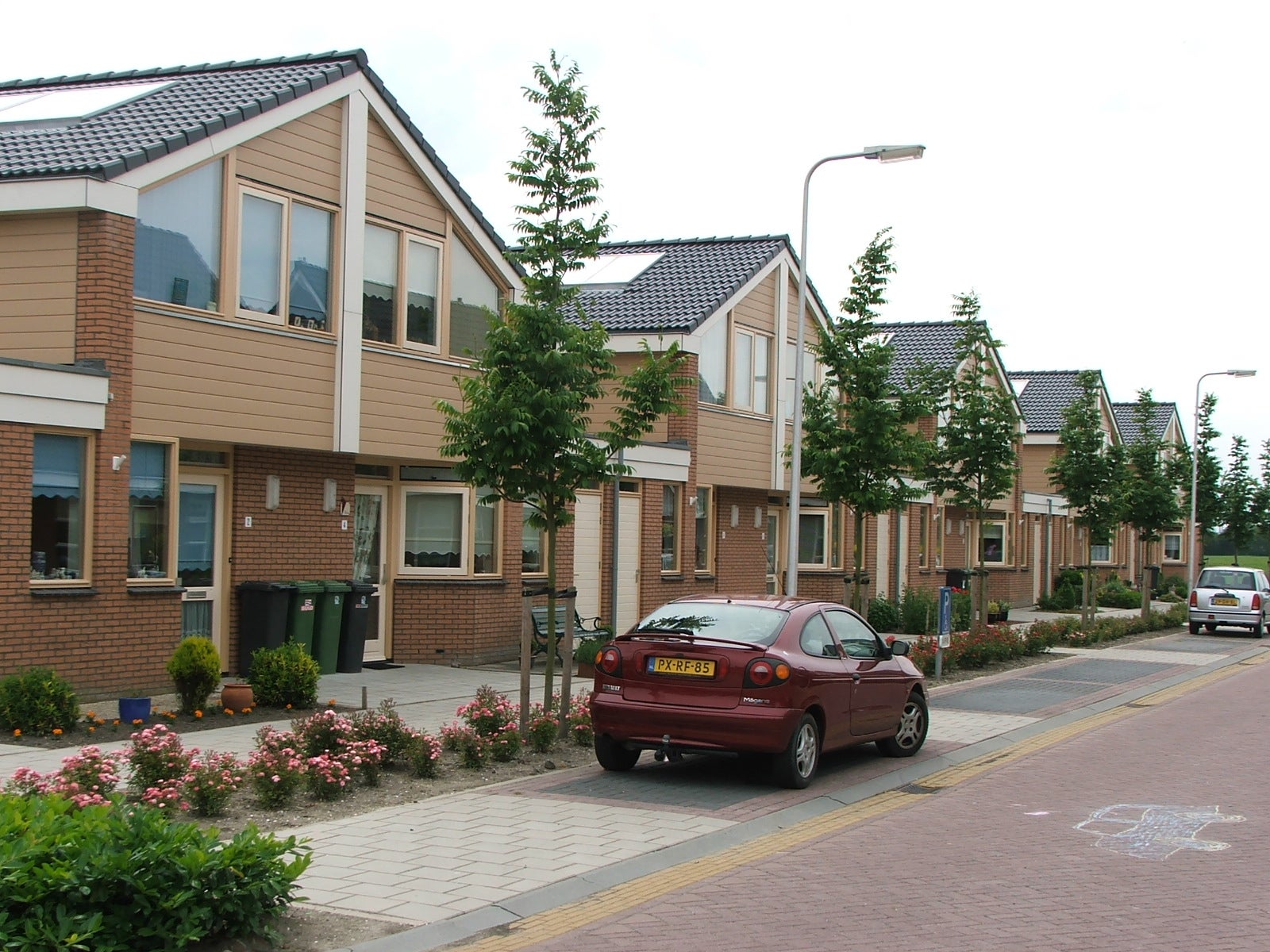House Scholekster in Leimuiden