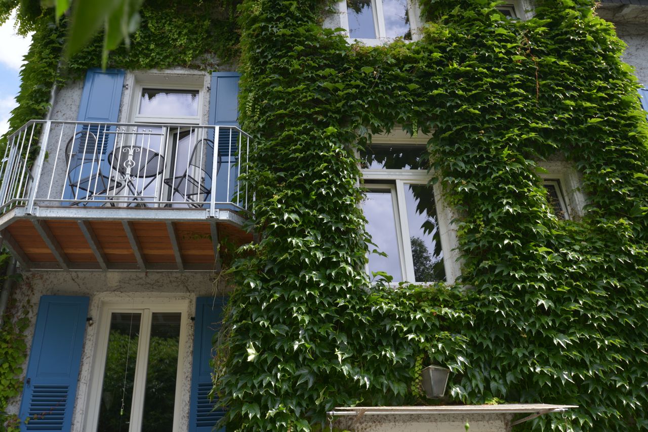 Wohnung Kranichsteiner Straße in Darmstadt