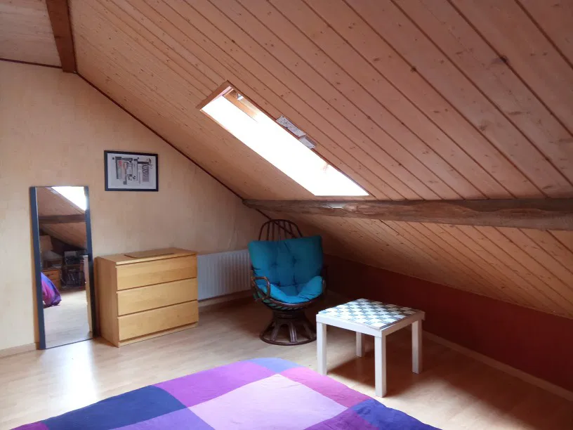 Room Chemin de Crincaille in Porte-de-Savoie