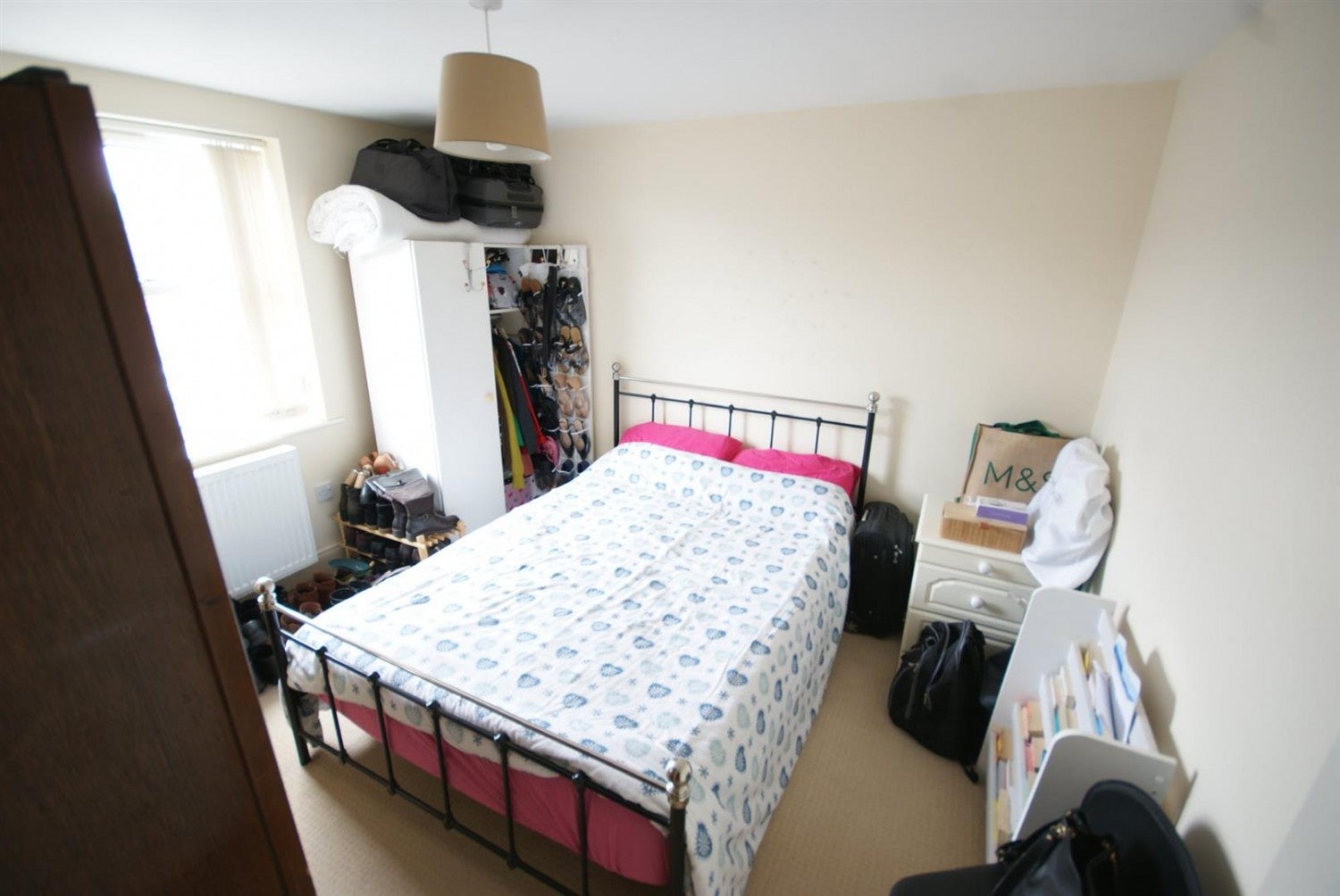 Flat Willow Tree Close in Lincoln