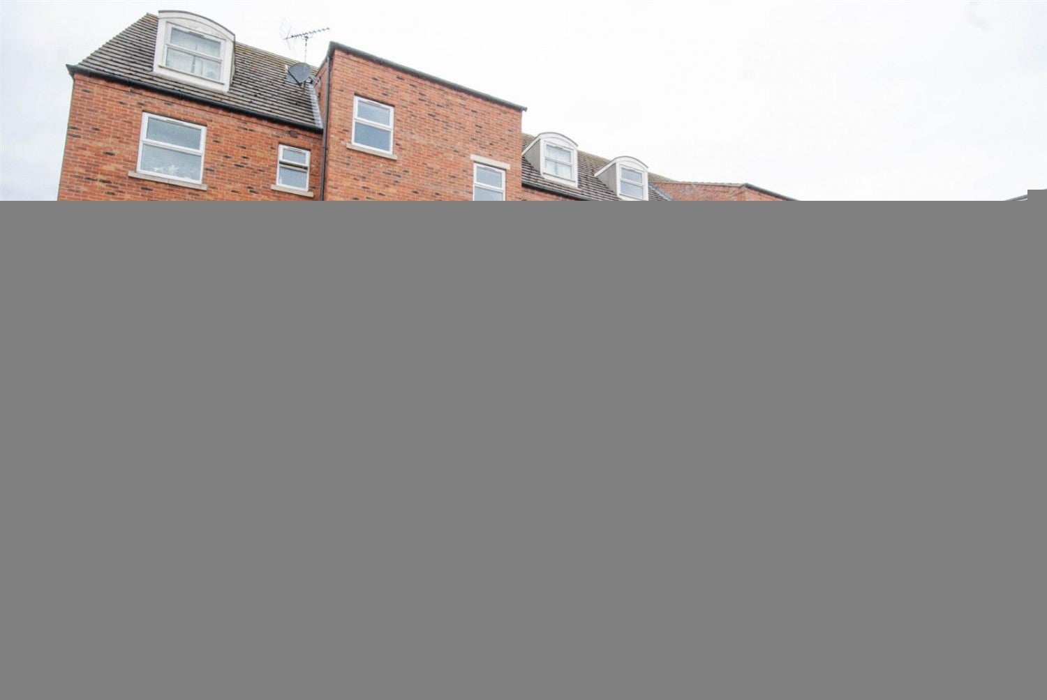 Flat Willow Tree Close in Lincoln