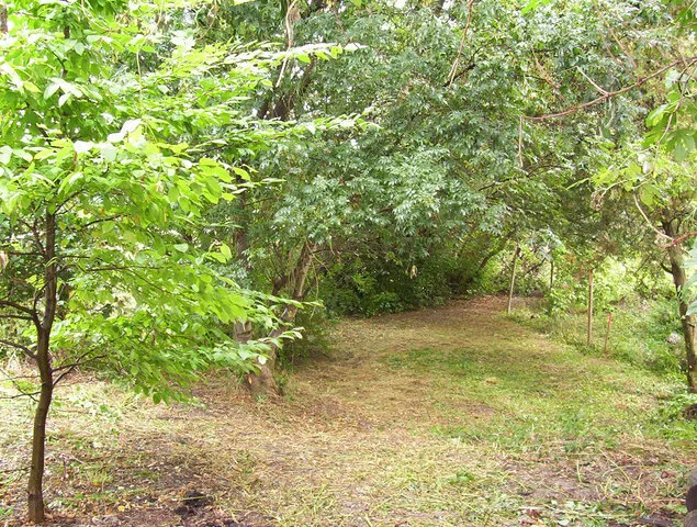 Chambre Chemin de Champagnat à Livron-sur-Drôme