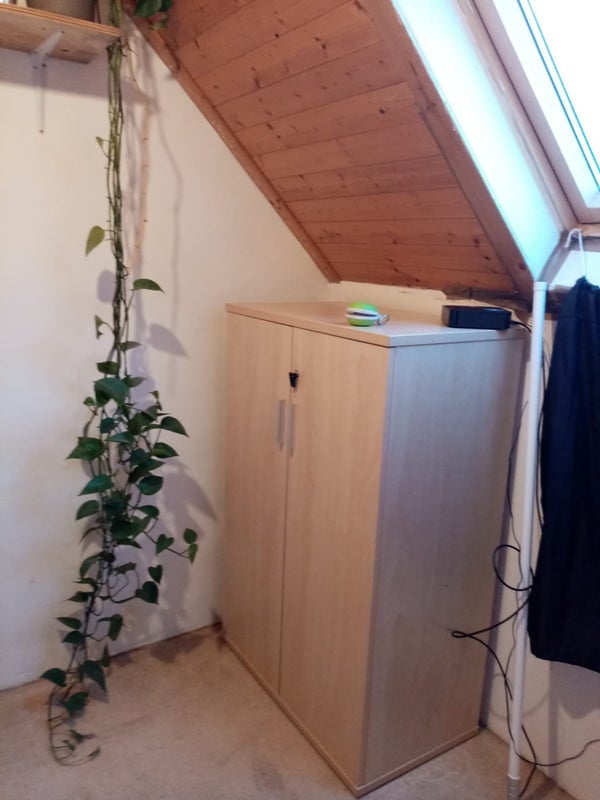 Room Cranbrook Road in Poole