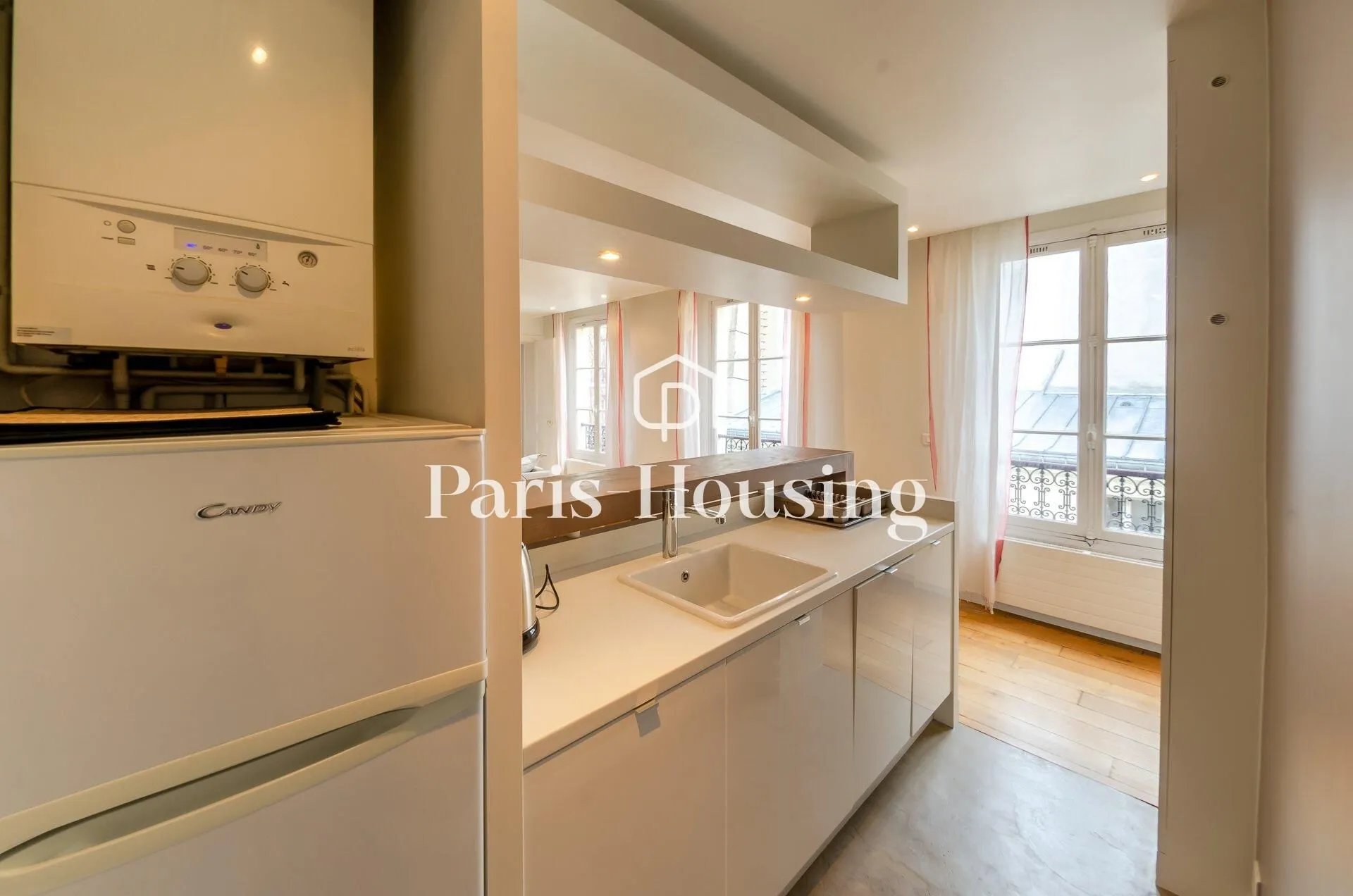 Flat Rue de Verneuil in Paris