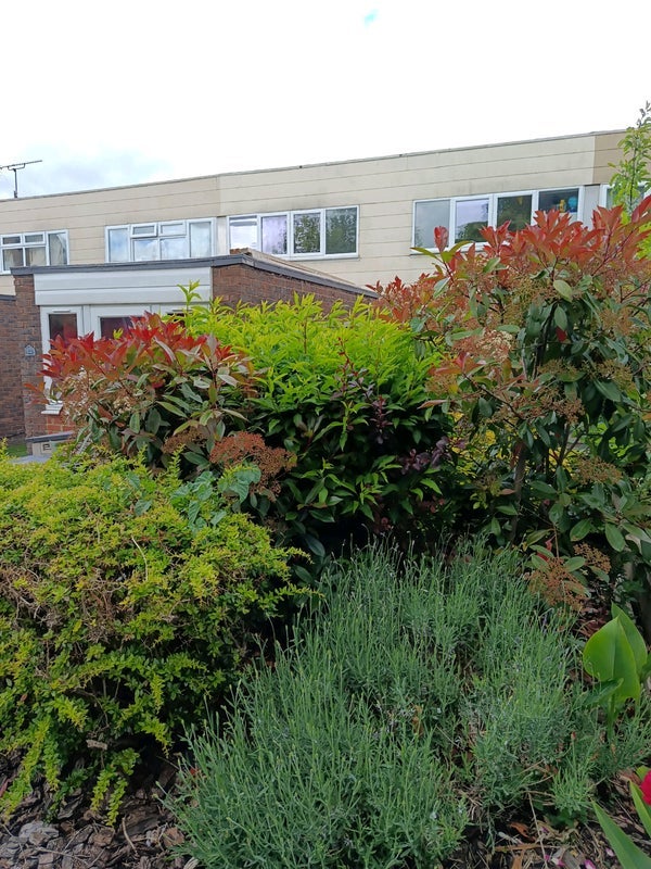 Room Farnham Gardens in Greater London