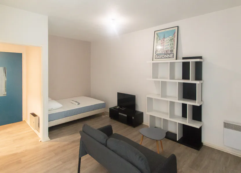 Flat Rue du Docteur Dassieu in Pau
