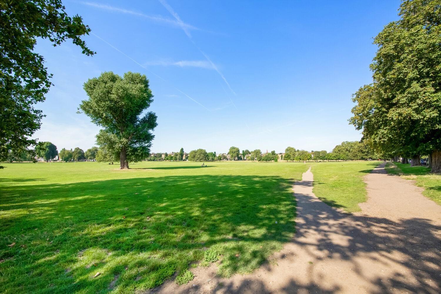 Flat Peckham Rye in Greater London