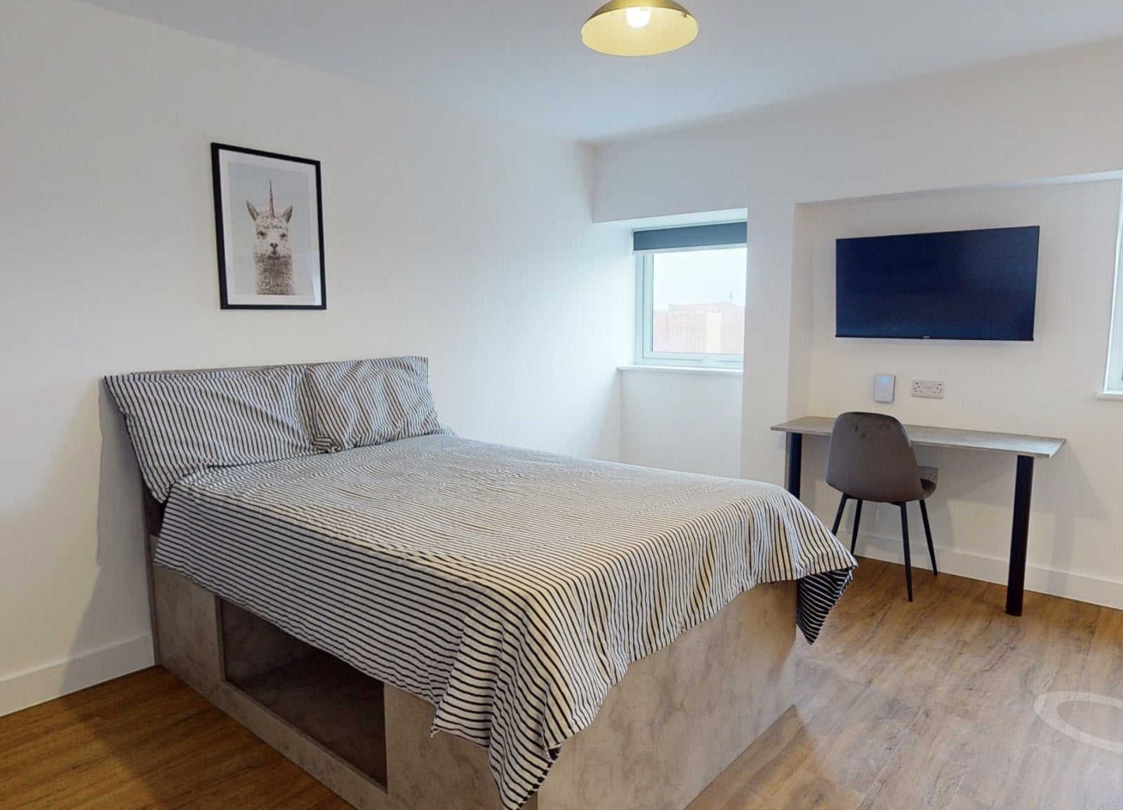 Room Lemyngton Street in Charnwood