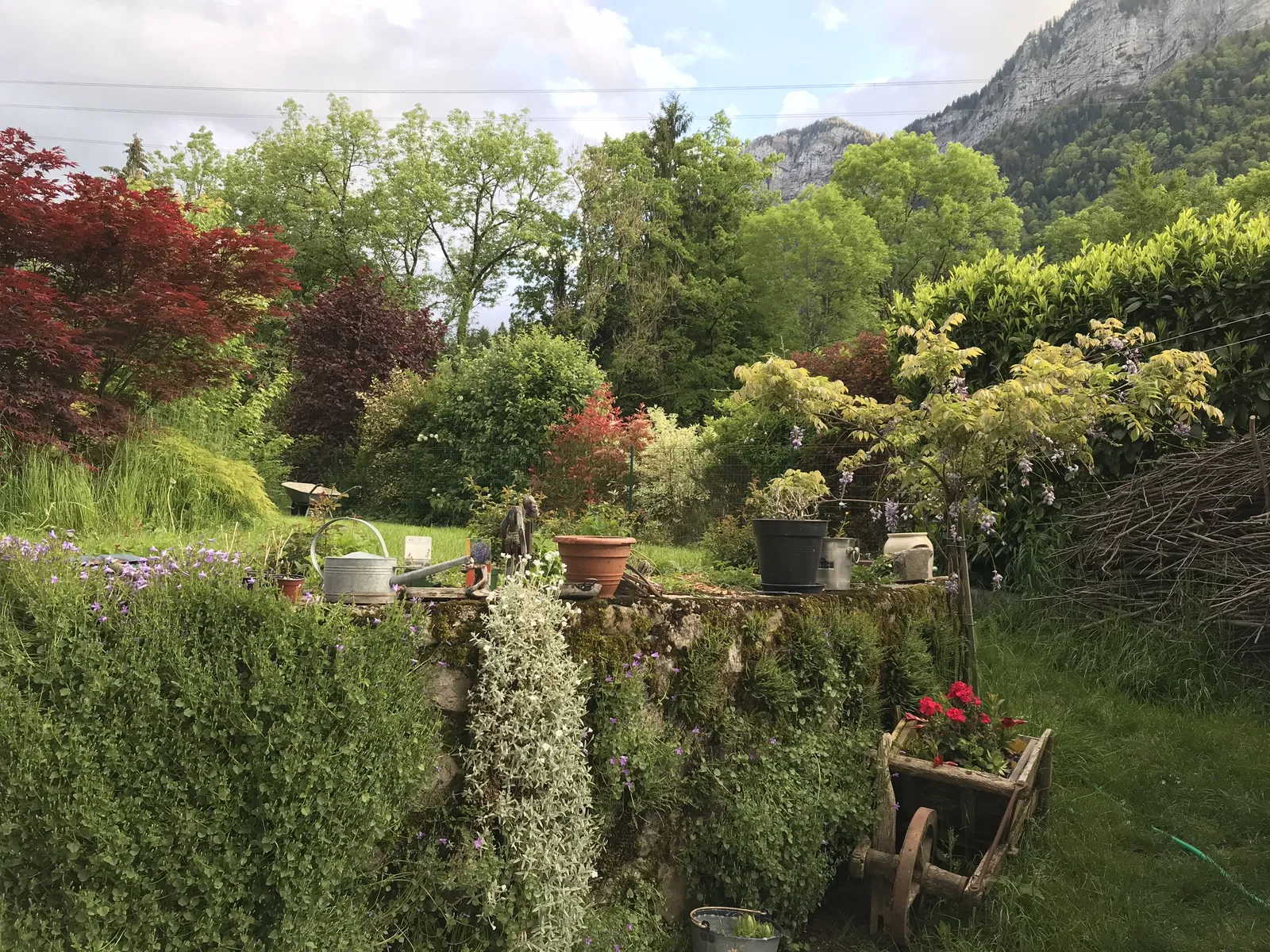 Room Route du Moulin in Doussard