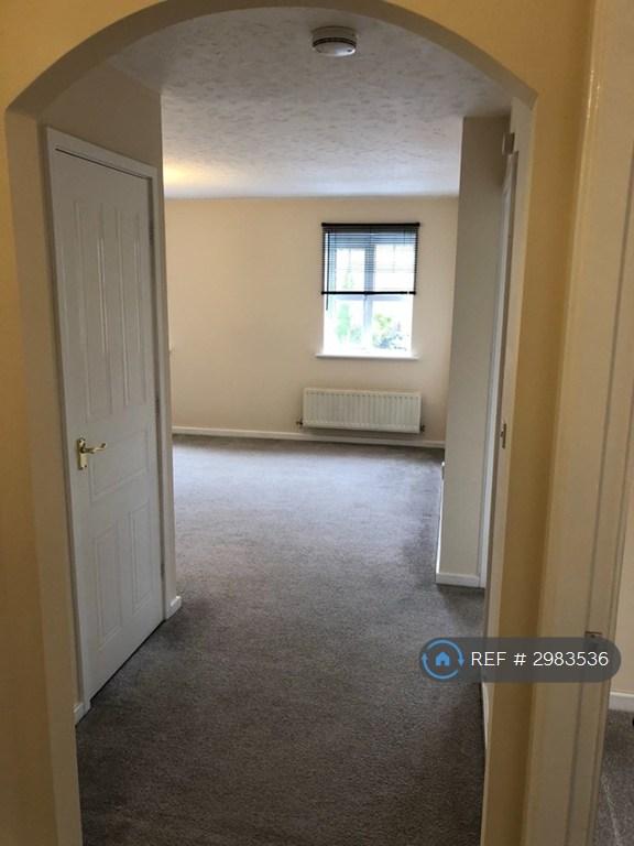 Flat Moccasin Way in Stafford