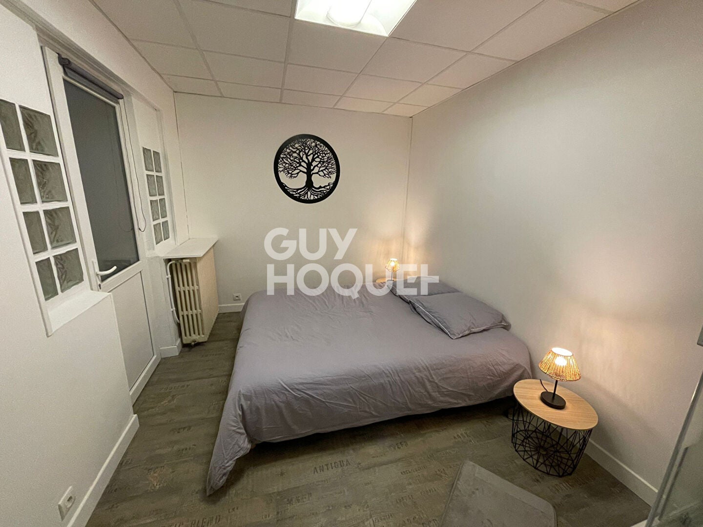 Flat Rue Louis Desmoulins in Tours