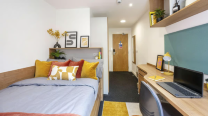 Flat Bramall Lane in Sheffield