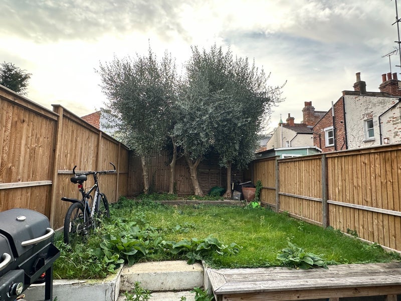 Room Stephendale Road in Greater London