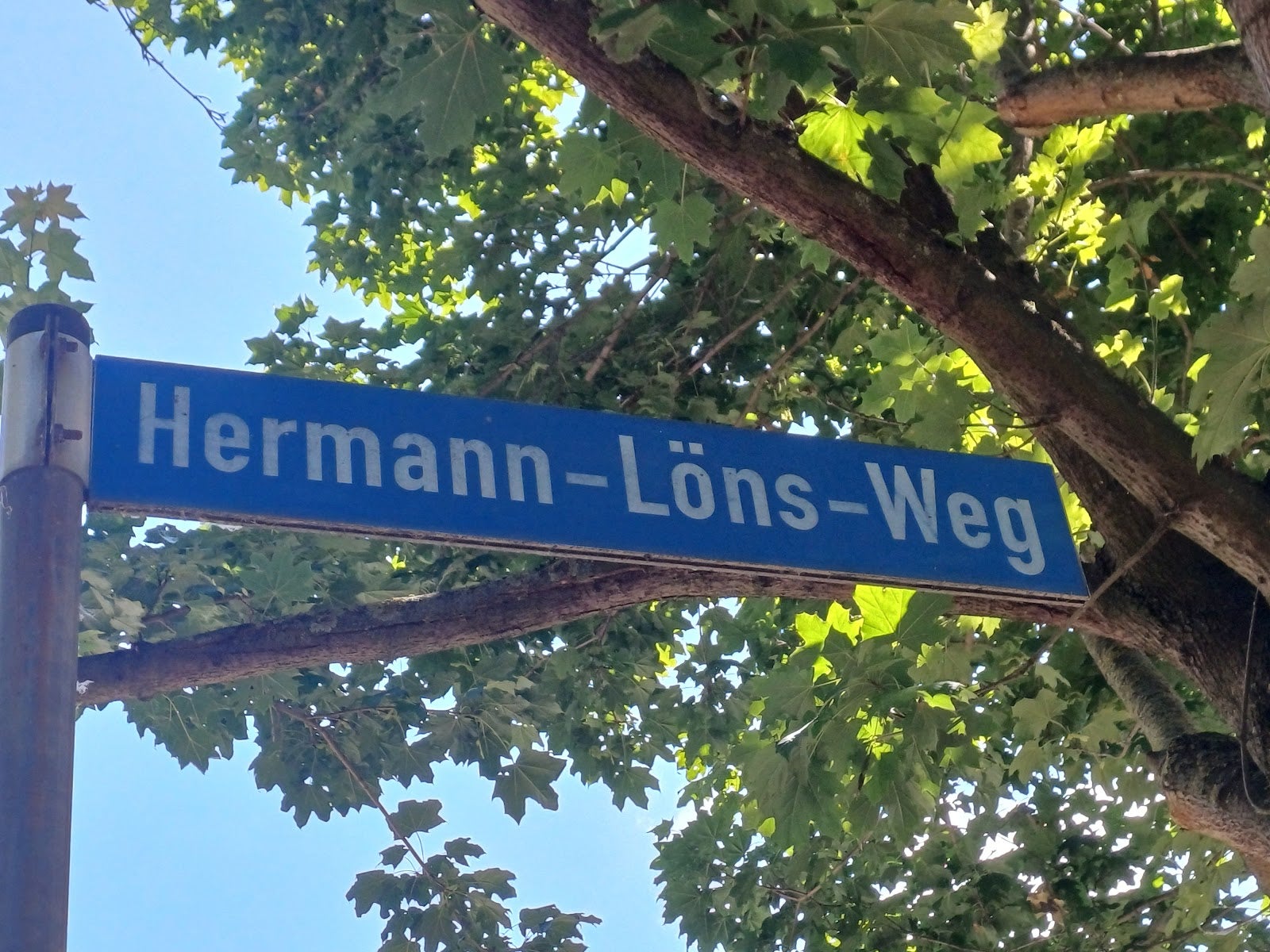 Wohnung Hermann-Löns-Weg in Merseburg