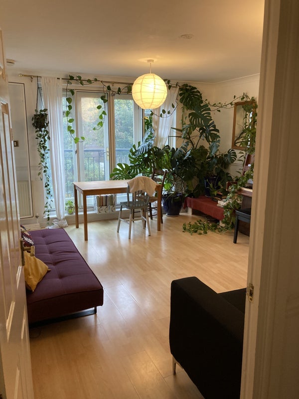 Room Island Row in Greater London