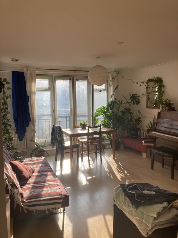 Room Island Row in Greater London