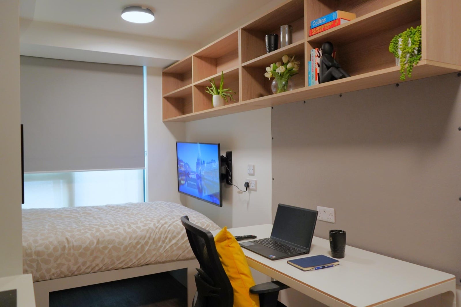 Room Castle Way in Southampton