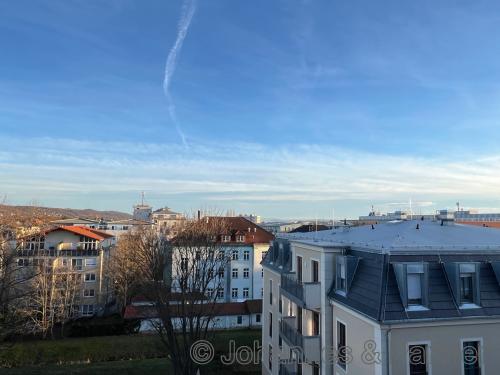 Wohnung Schlüterstraße in Dresden