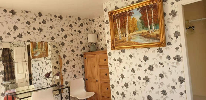 Room Blakelaw Road in Newcastle upon Tyne