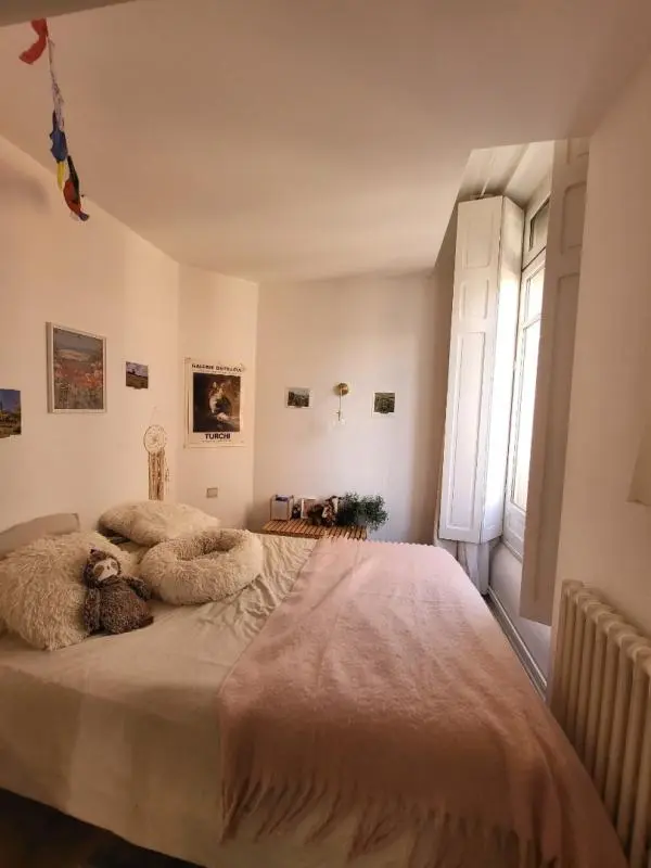 Appartement Rue Mirepoix à Toulouse