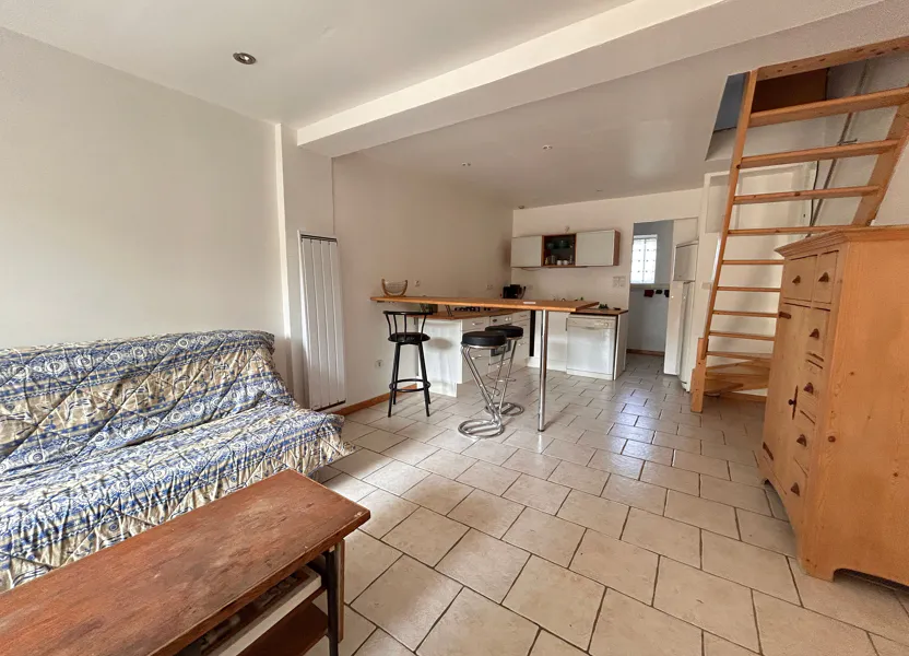 Appartement Rue du Professeur André Perrin à Sathonay-Village