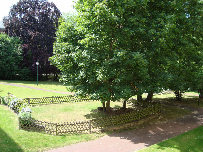 Flat Avenue Le Nôtre in Marly-le-Roi