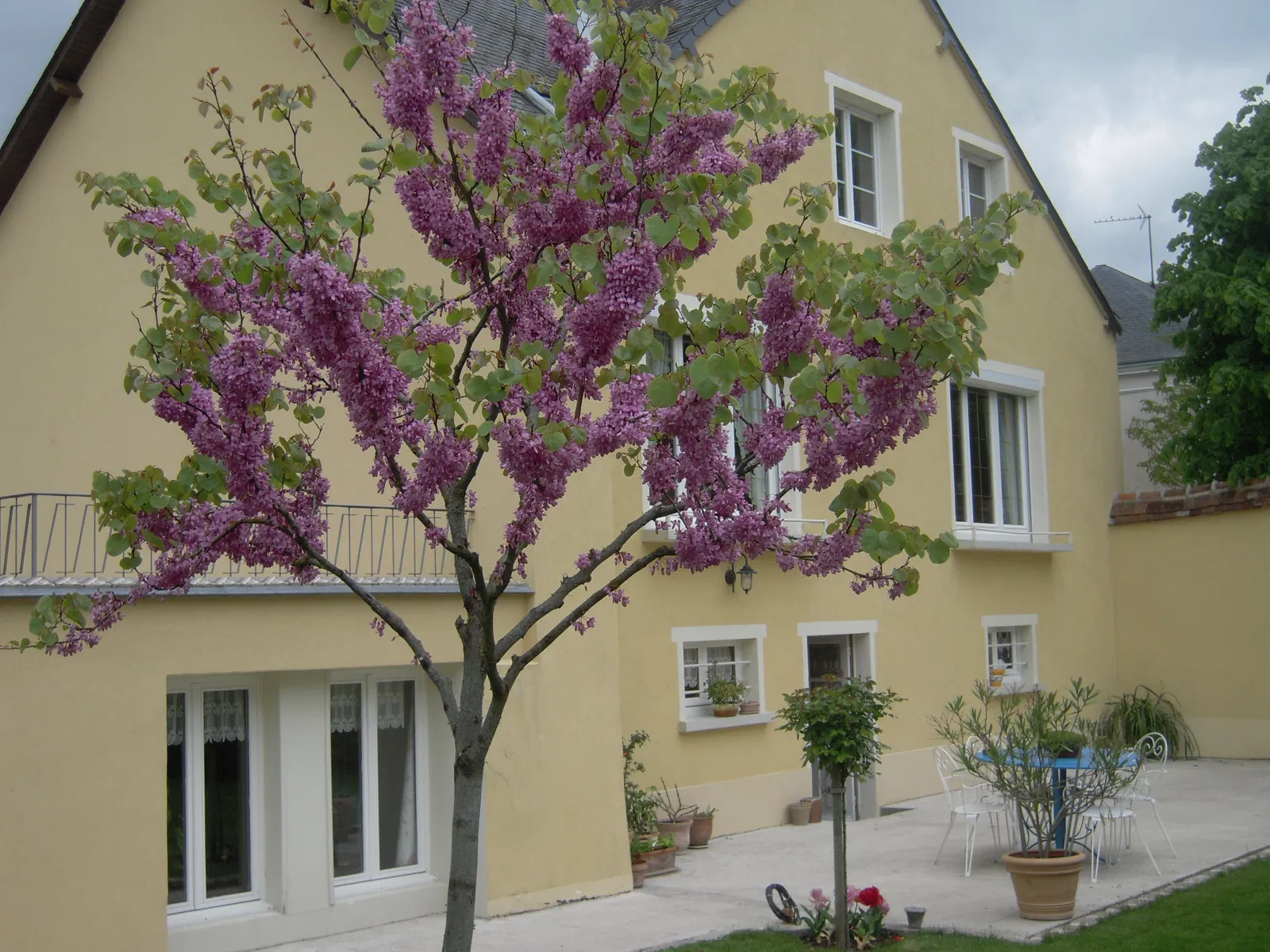 Room Rue de Nogent in Sérigny