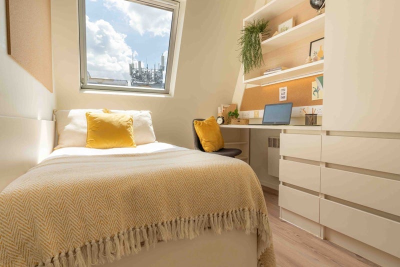 Room Holloway Road in Greater London