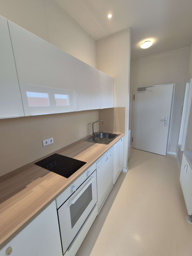 Wohnung August-Bebel-Straße in Dresden