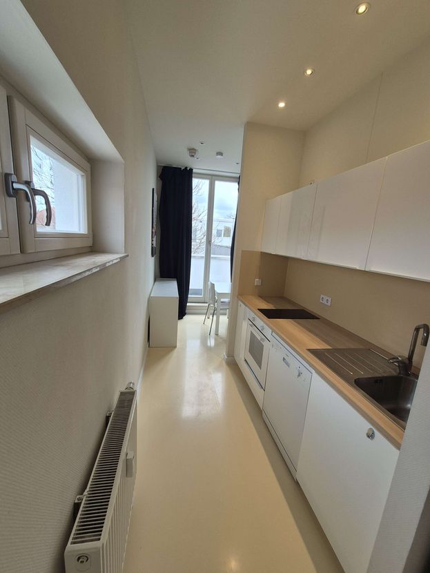 Wohnung August-Bebel-Straße in Dresden