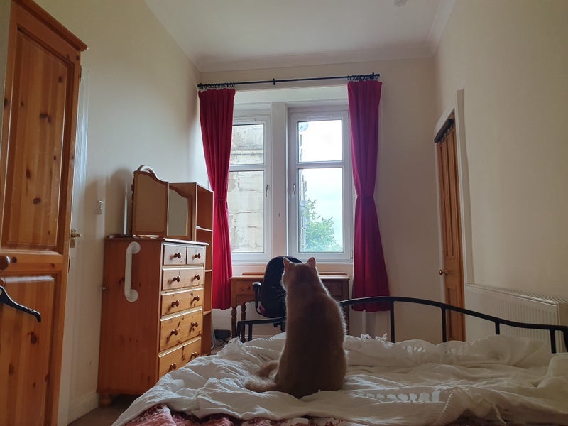 Room Paisley Road West in Glasgow
