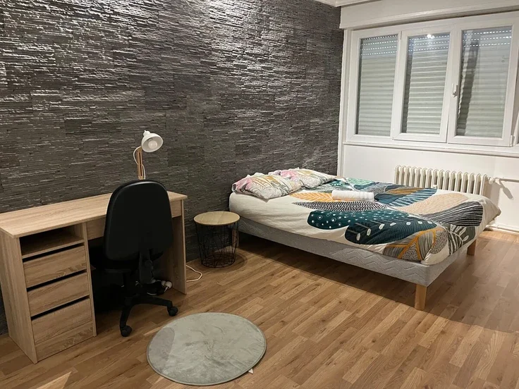 Maison Boulevard de l'Europe à Mulhouse