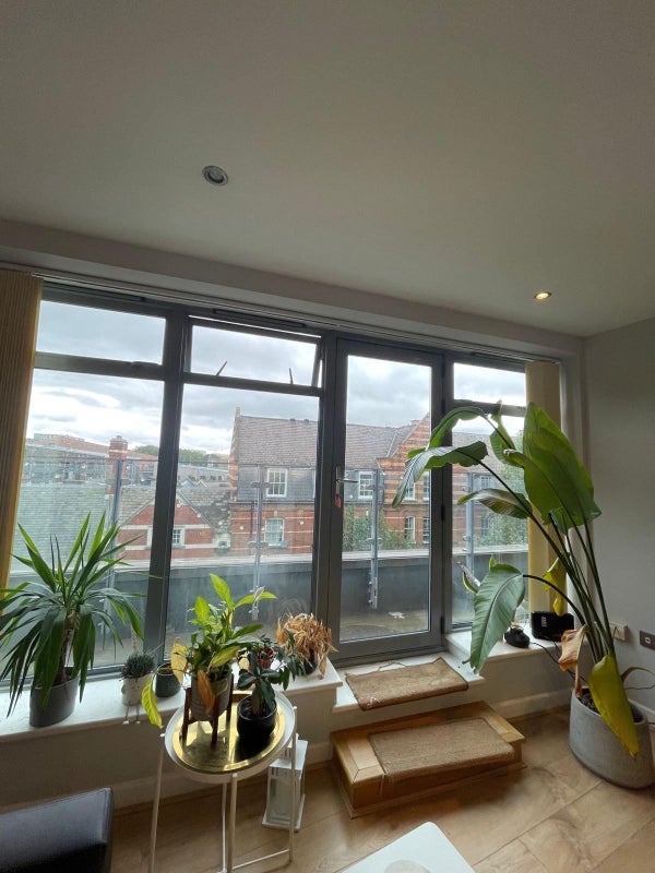 Room Calvert Avenue in Greater London