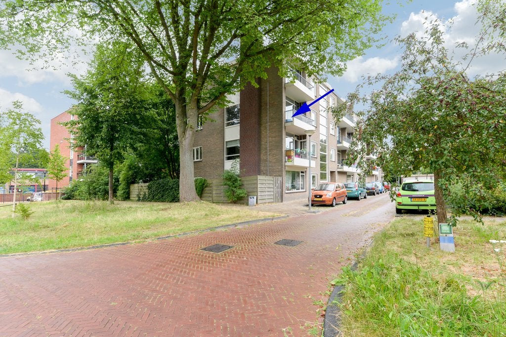 Flat Lievenshof in Alkmaar