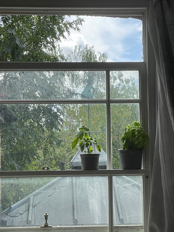 Room Wilton Way in Greater London