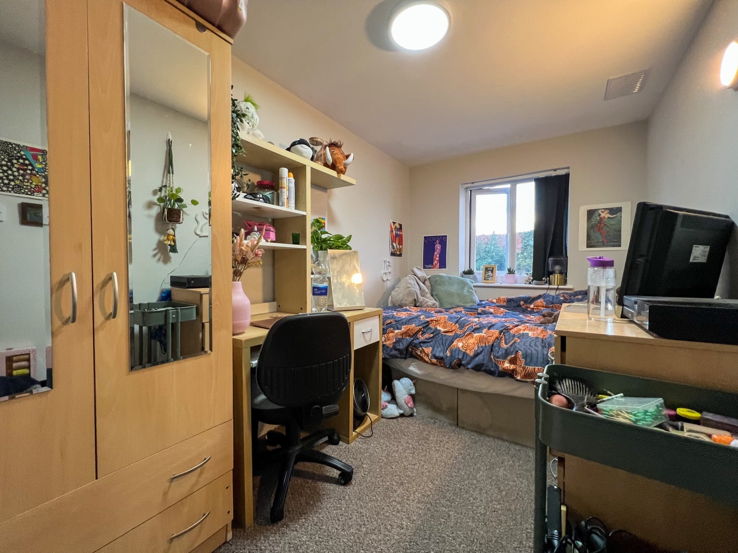 Flat Rhymney Street in Cardiff