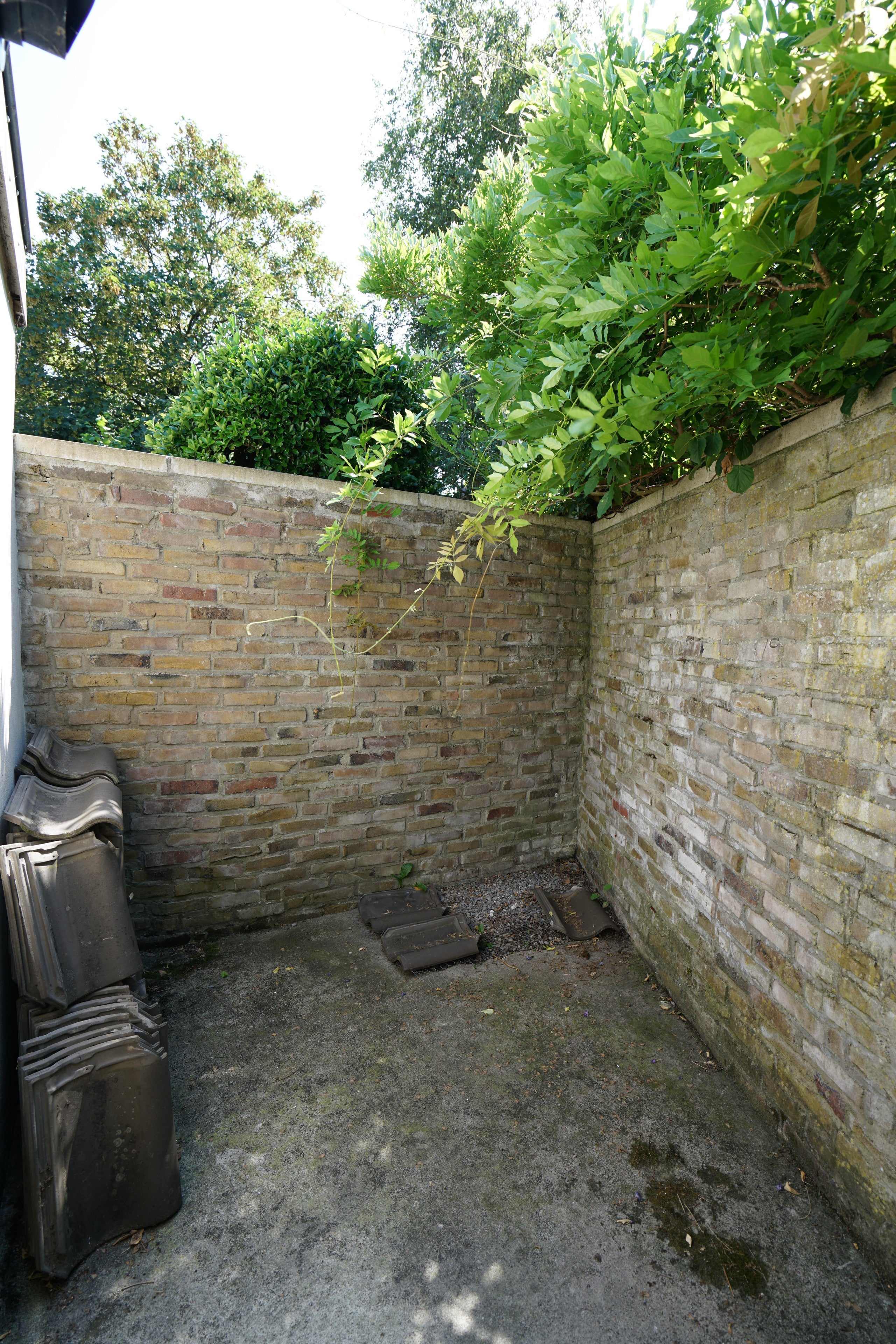 Woning te huur: Kleine Brandenburgerstraat, Groningen