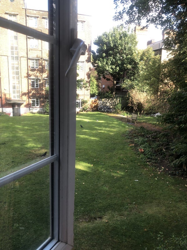 Room Rushcroft Road in Greater London