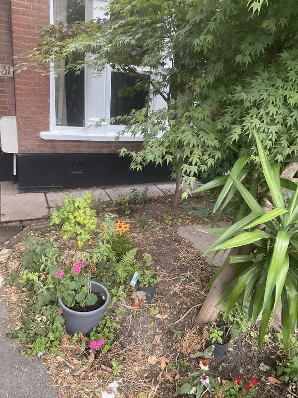 Room Hither Green Lane in Greater London